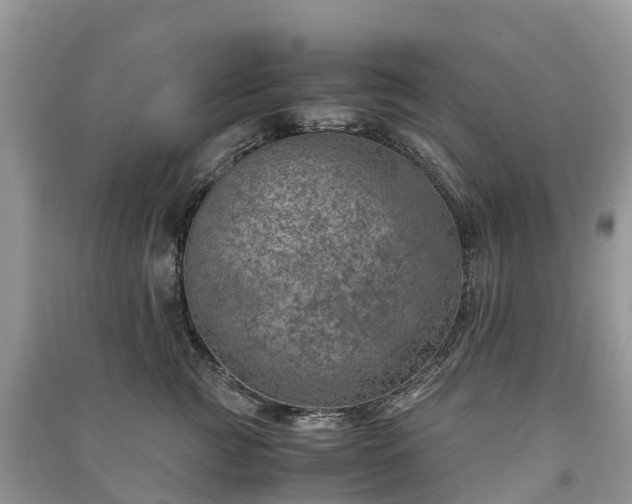 X0000091010761200708091601