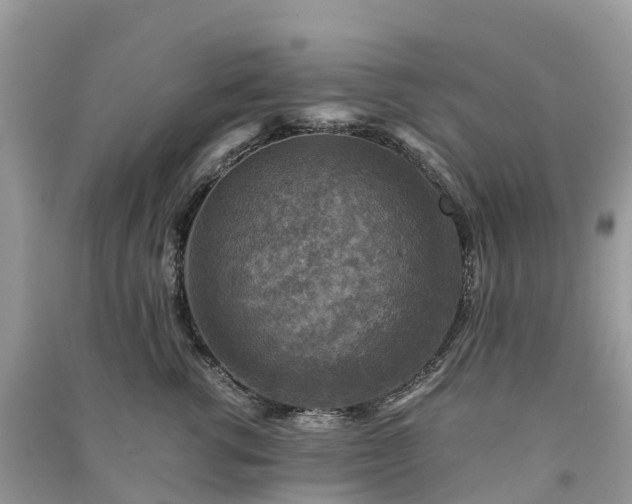 X0000091010762200708091601
