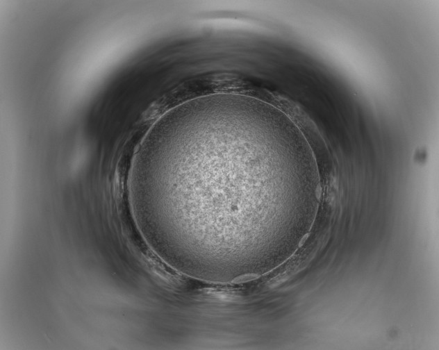 X0000091010763200708091601