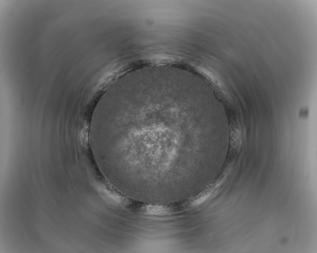 X0000091010766200708091601