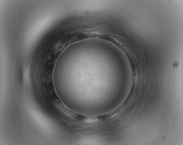 X0000091010767200708091601