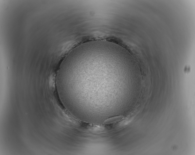 X0000091010768200708091601