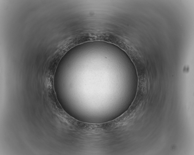X0000091010770200708091601
