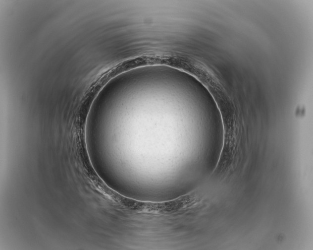 X0000091010773200708091600