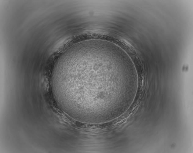 X0000091010774200708091600