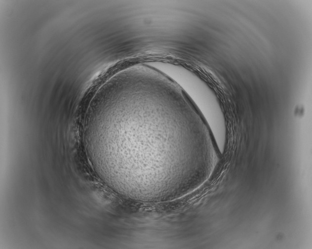 X0000091010776200708091600
