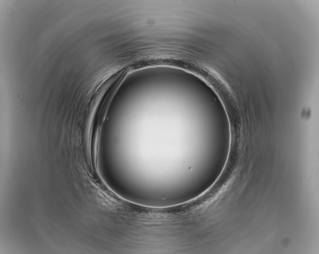 X0000091010777200708091600