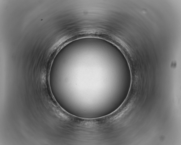 X0000091010778200708091600