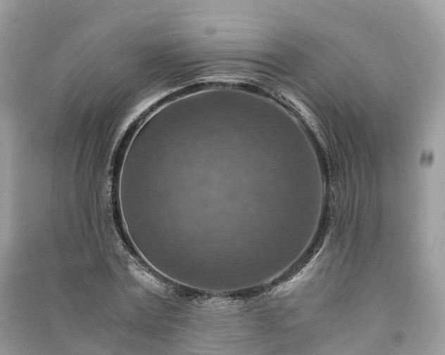 X0000091010779200708091600