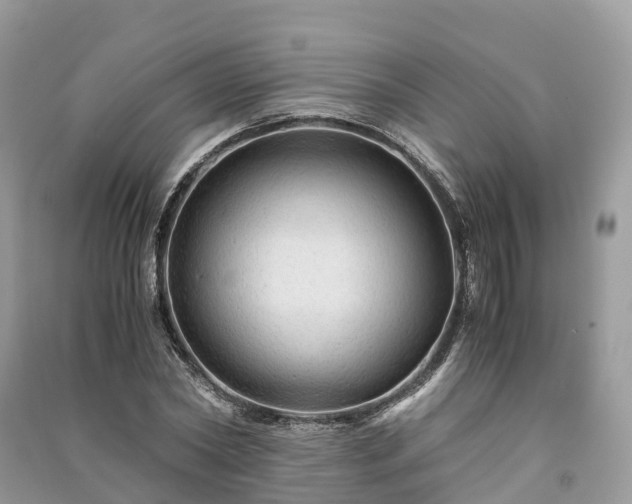 X0000091010782200708091600