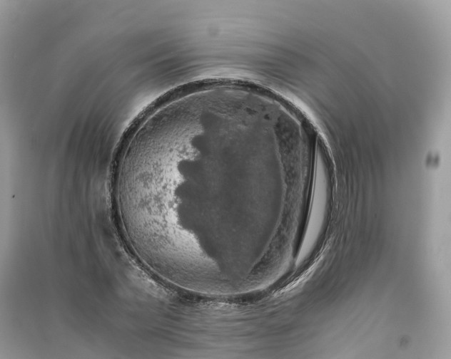 X0000091010783200708091600