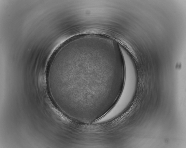 X0000091010784200708091600