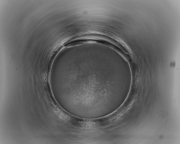 X0000091010785200708091600