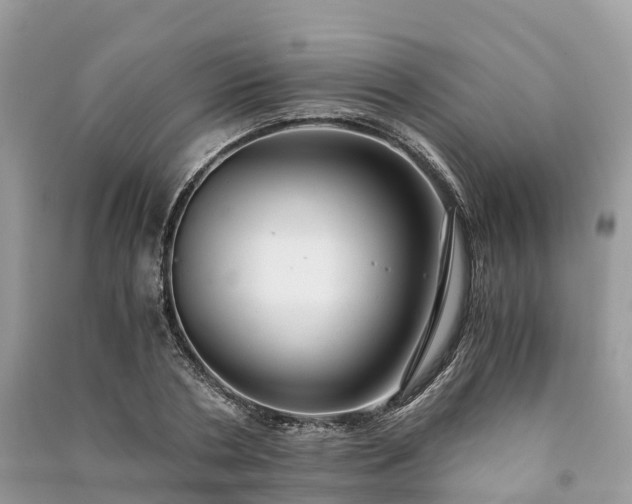 X0000091010786200708091600