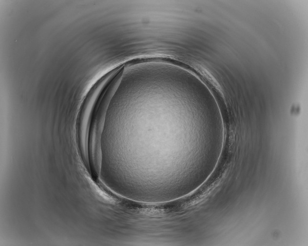 X0000091010789200708091600