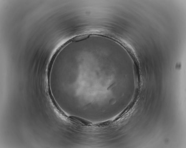 X0000091010792200708091600