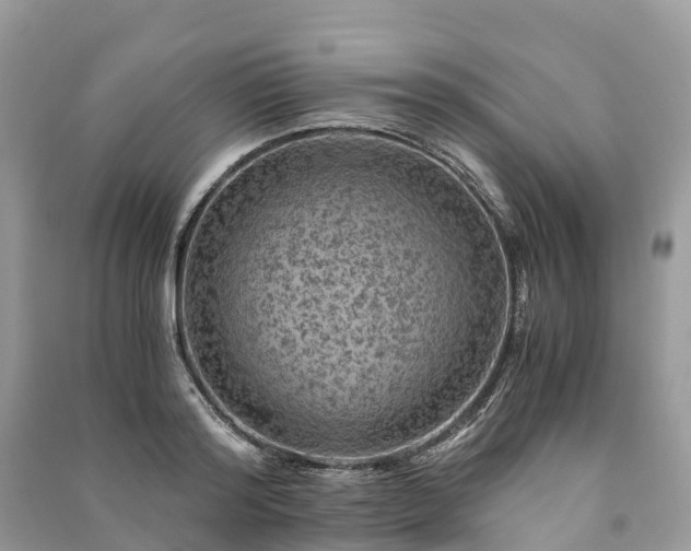 X0000091010796200708091600