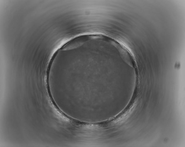X0000091010797200708091600