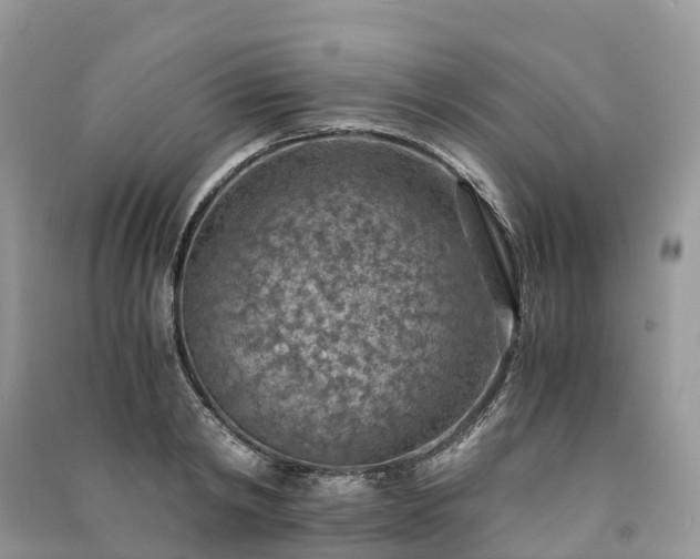 X0000091010798200708091600