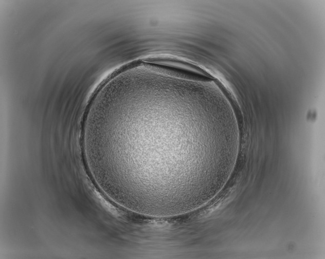 X0000091010799200708091600