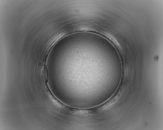X0000091010801200708091600