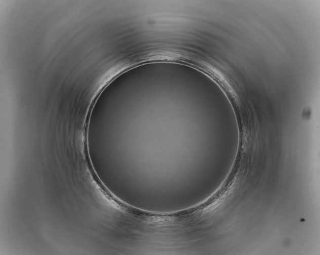 X0000091010802200708091600