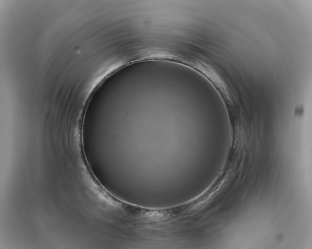 X0000091010806200708091600
