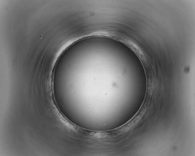 X0000091010808200708091600