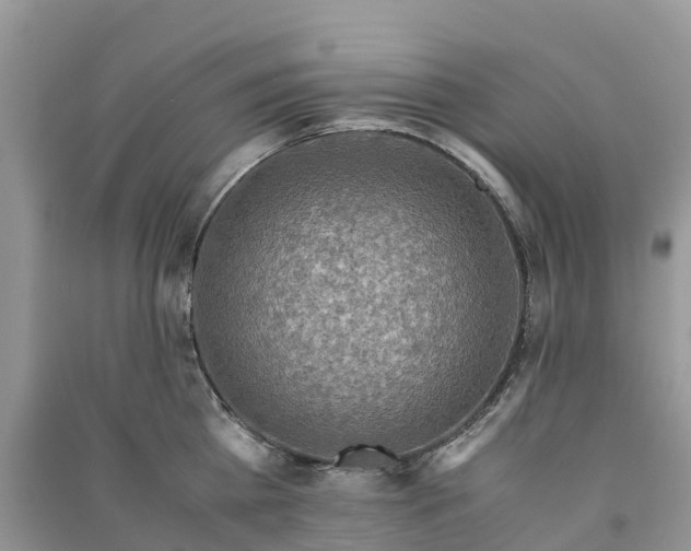 X0000091010809200708091600
