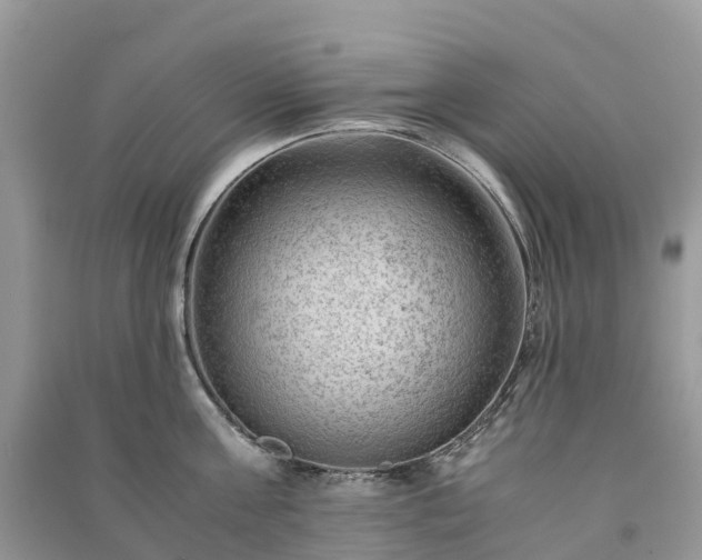 X0000091010811200708091600