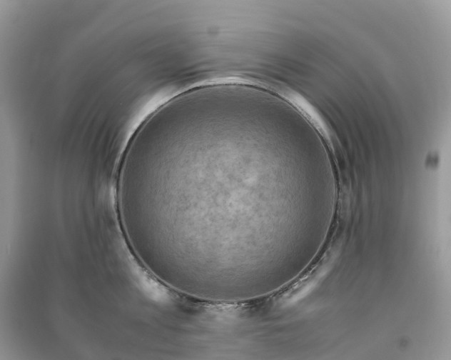 X0000091010813200708091600