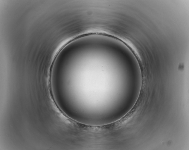 X0000091010815200708091600