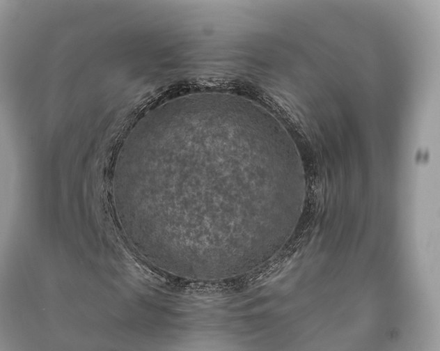 X0000091010817200708091559