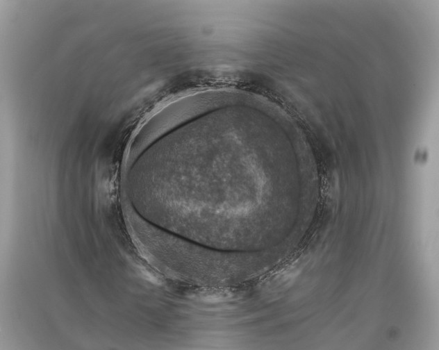 X0000091010818200708091559