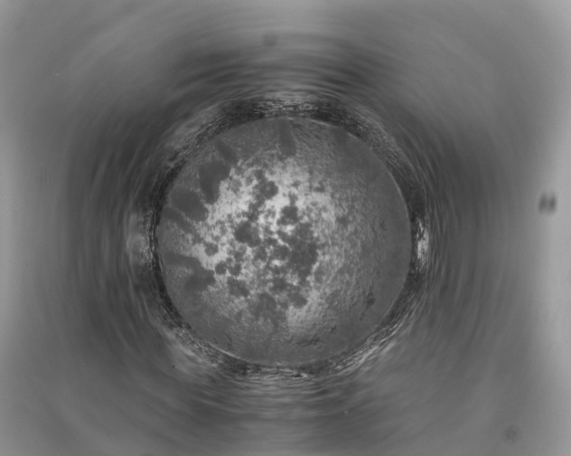 X0000091010819200708091559