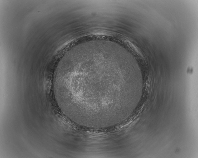 X0000091010821200708091559