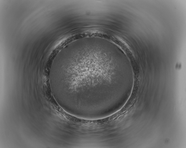X0000091010823200708091559