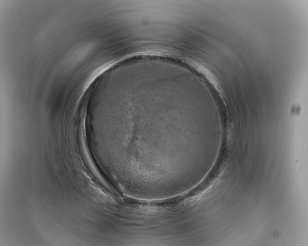 X0000091010829200708091559