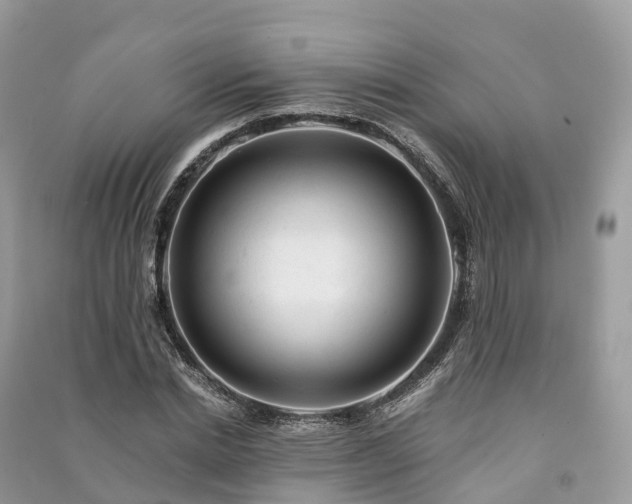 X0000091010830200708091559