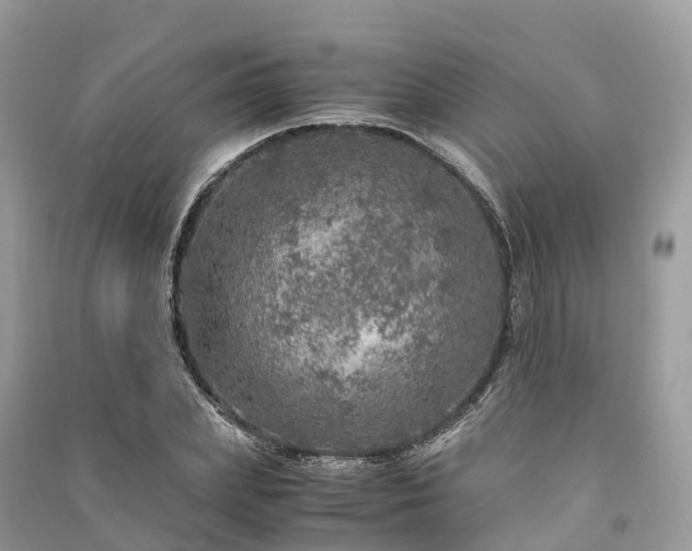 X0000091010831200708091559