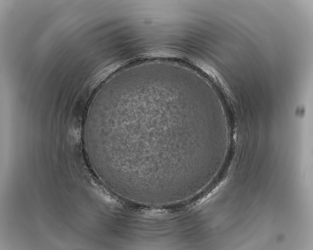 X0000091010833200708091559