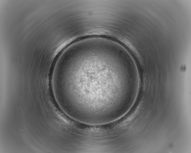 X0000091010834200708091559