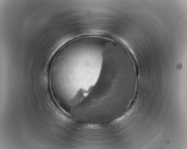 X0000091010835200708091559