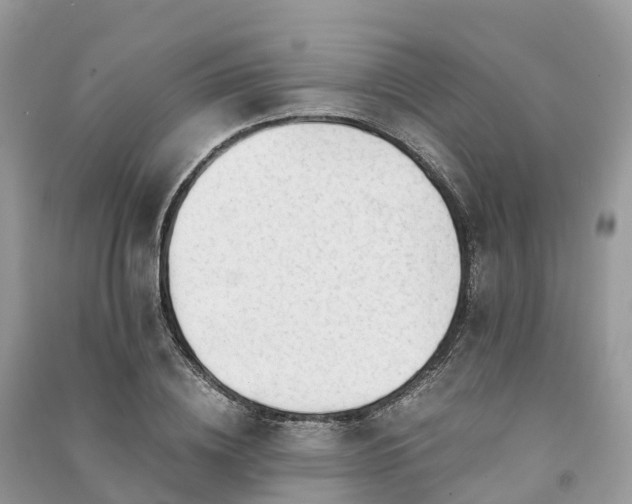 X0000091010836200708091559