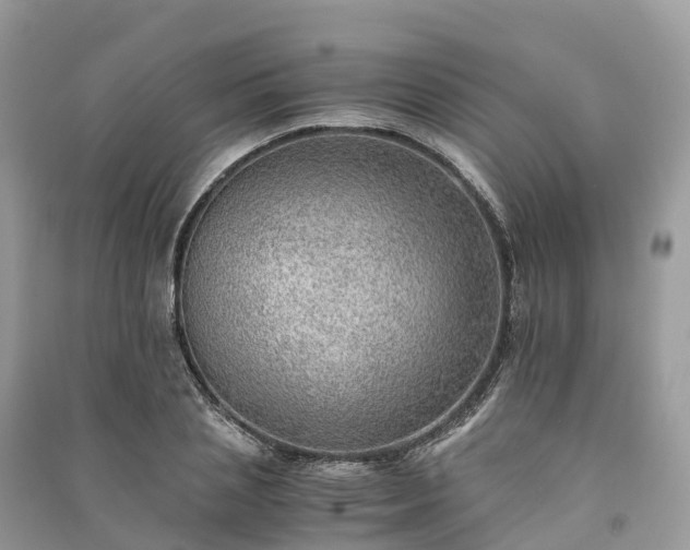 X0000091010837200708091559