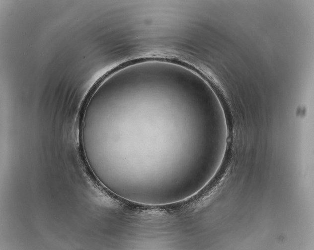 X0000091010838200708091559