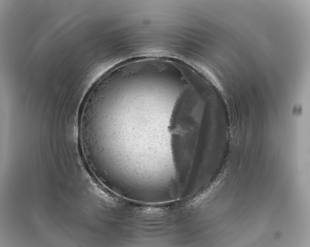 X0000091010839200708091559
