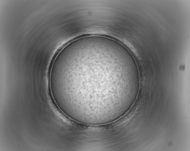 X0000091010840200708091559