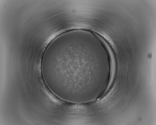 X0000091010842200708091559