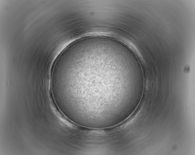 X0000091010844200708091600